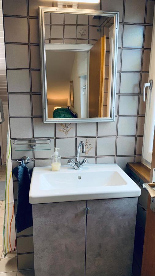 Haus Sonnenhang 弗里森海姆 外观 照片